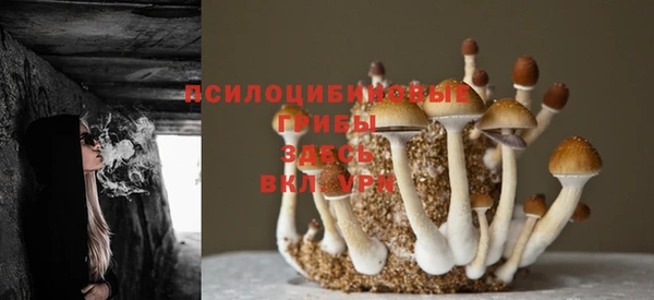не бодяженный Бугульма