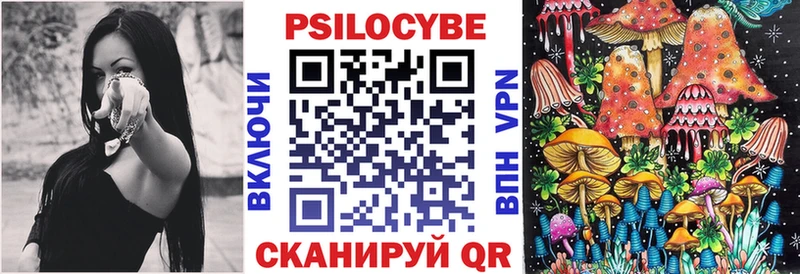 Купить где  Всеволожск  Псилоцибиновые грибы Psilocybe 